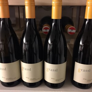 Sonnengelb, wie passend.