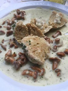 Eierschwammerl (Pfifferlinge/Cantharellus cibarius).