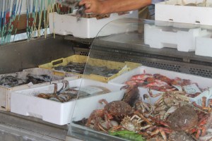 Spinnenkrabben aus der Lagune.