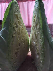 Kulinarische Reise in die Berge.