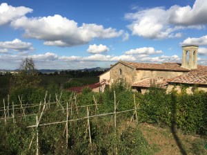 Tomatengarten vor der Casa.